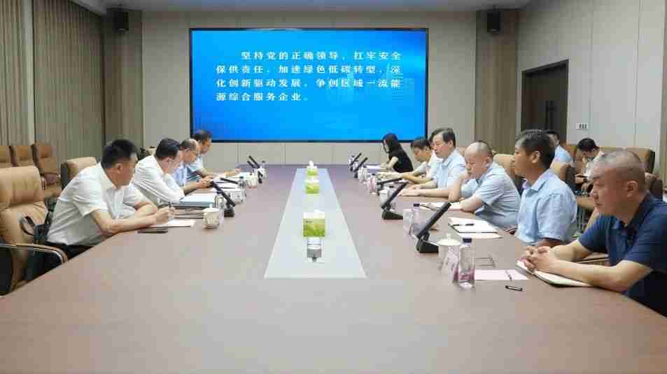 市委常委、副市长沙向东带队到市能源集团 调研指导工作
